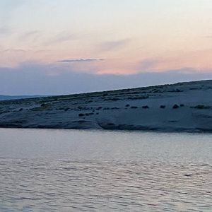 Meet your Posher, Jane